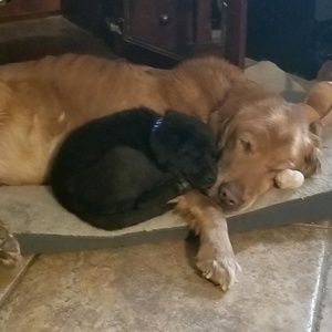 Meet your Posher, Greg